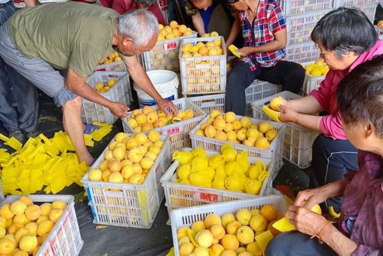 微信图片_20250618082925